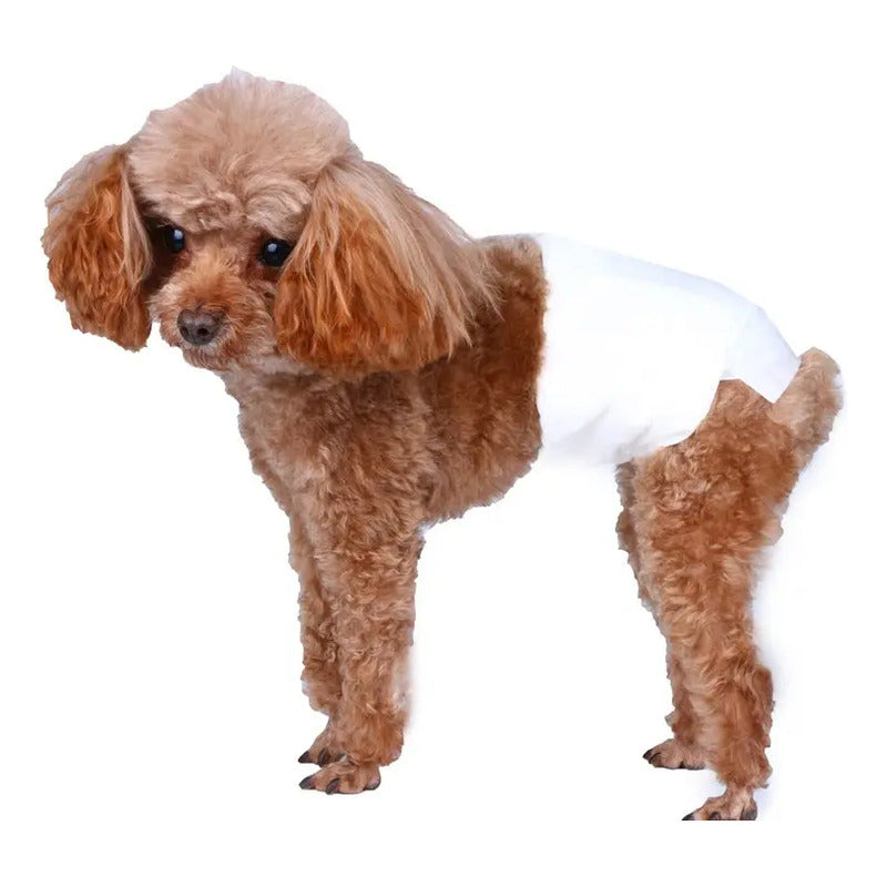 240 Pañales Perro Macho Pañales Para Gatos Panal Perro S