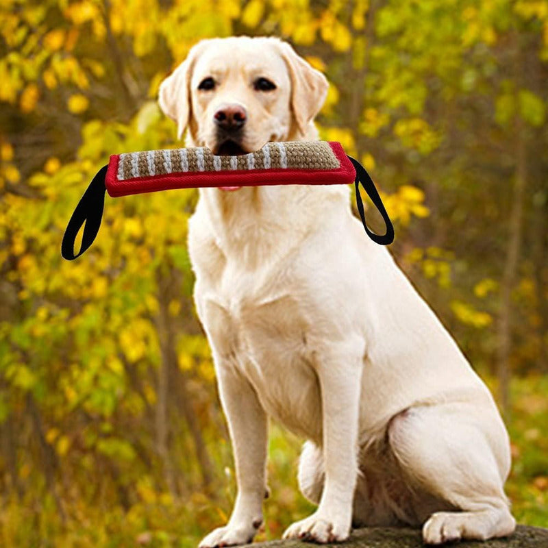 Mordedor Perro Mordedor Yute Mordedor Adiestramiento Perro