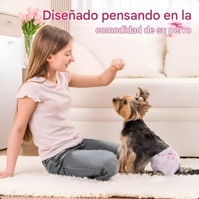 X10 Pañales Perros Panal Hembra Macho Pañales Gato Xs