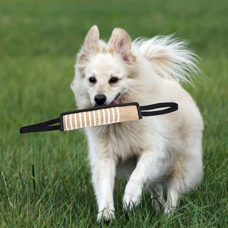 Mordedor Perro Mordedor Yute Mordedor Adiestramiento Perro