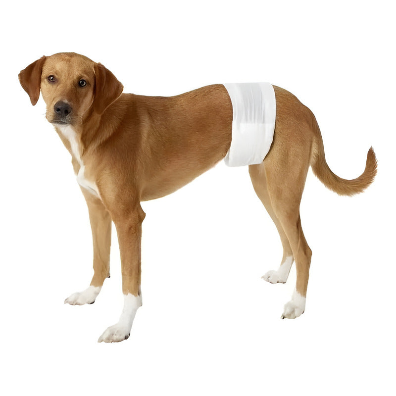 240 Pañales Perro Macho Panal Para Gato Pañales Para Perro L