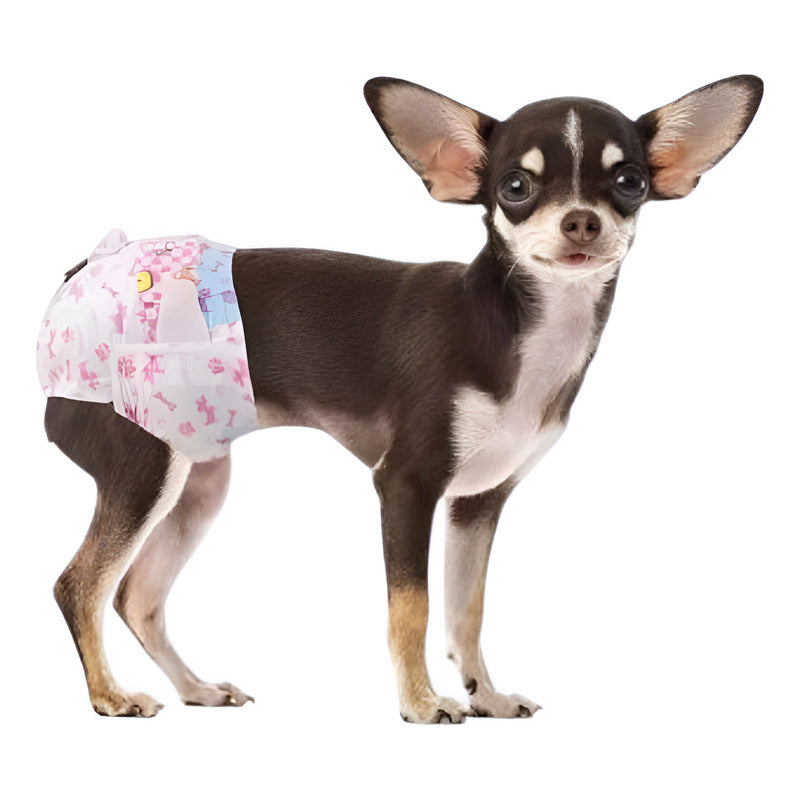 X10 Pañales Perros Panal Hembra Macho Pañales Gato Xs