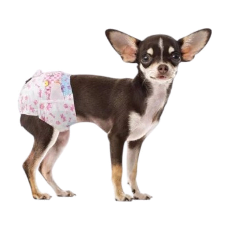 X10 Pañales Perros Panal Hembra Macho Pañales Gato Xs