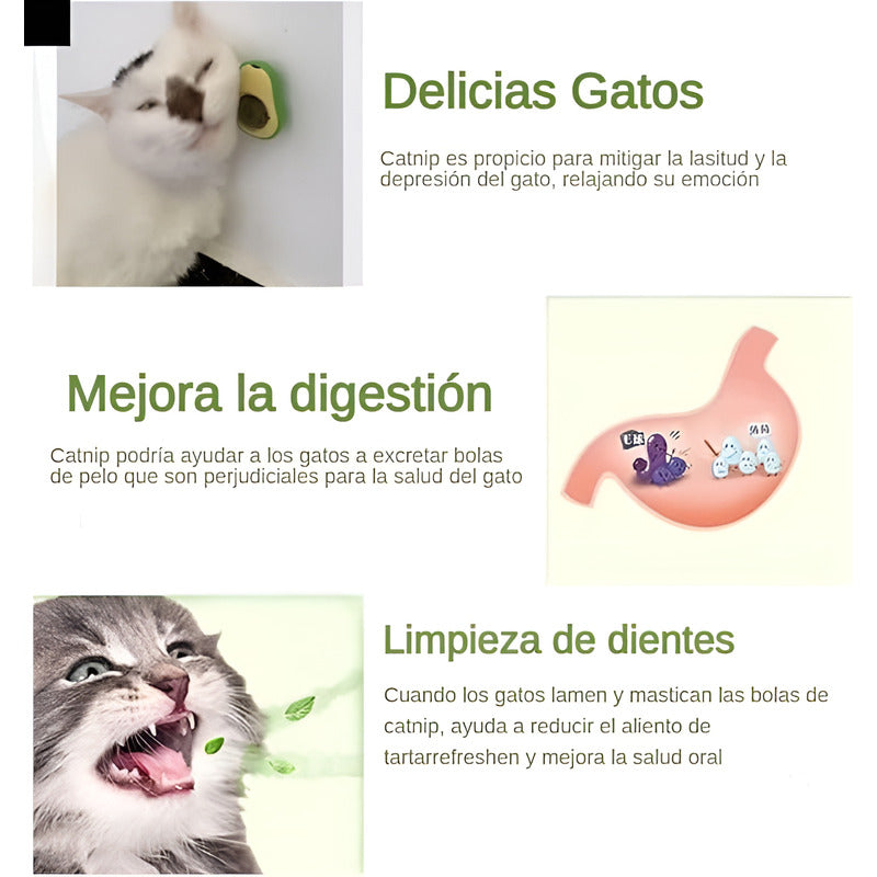 Pack 2 Juguete Catnip Para Gato Bola Giratoria Catnip Hierba