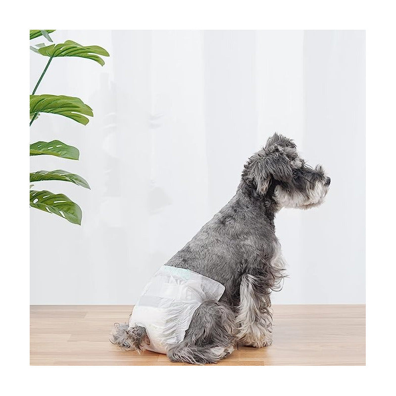 X40 Pañales Para Perro Hembra Panal Perro Pañal Perro Gato S
