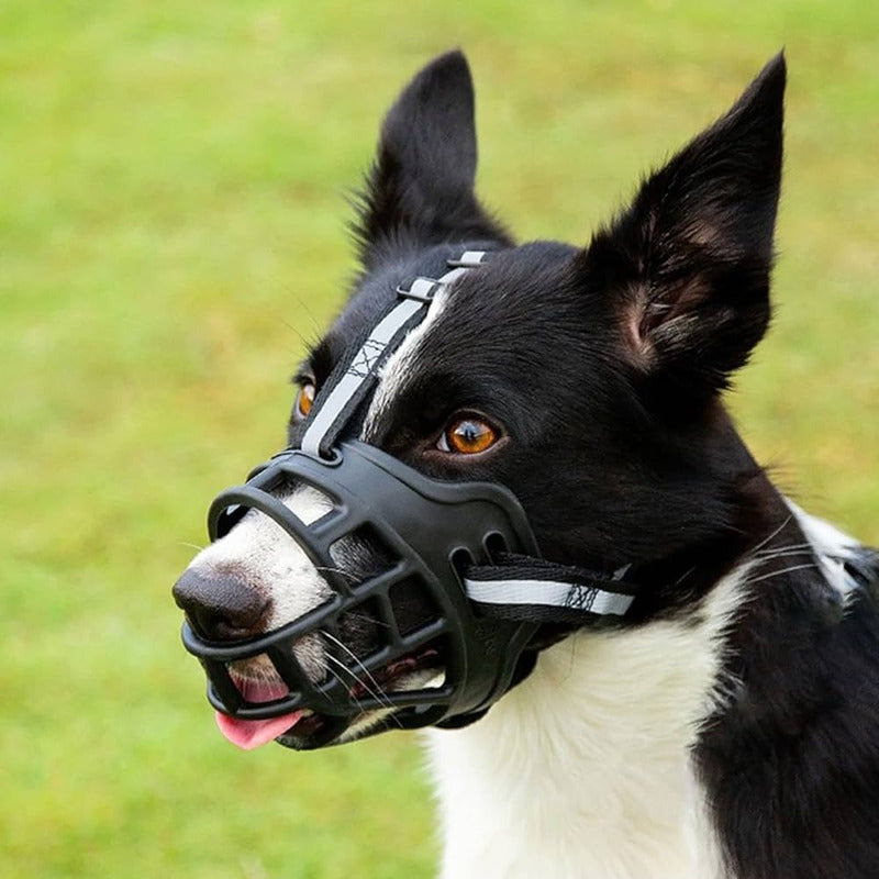 Bozal Perro Grandes Bozal Para Perro Bozal Perro Grande Xl