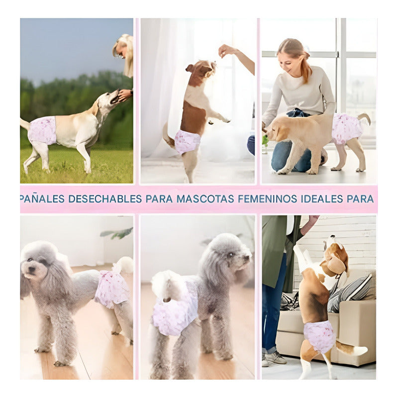 X10 Panales Perros Gato Pañal Macho Hembra Pañales Gato M