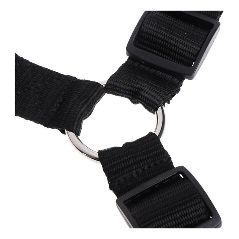 Cinturón De Seguridad Auto Perro Correa Cinturón 2 En 1