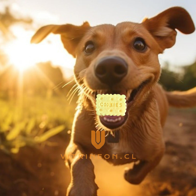 Juguete Mordedor Perro Juguete Para Perros Interactivo Perro