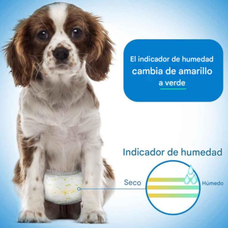 120 Pañales Para Perros Pañales Para Perro Pañales Gato S