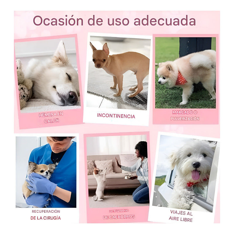 X50 Pañales Para Perros Pañales Para Perro Pañales Gato S