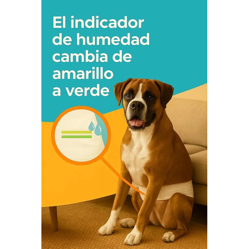 12 Pañales Perros Macho Gatos Desechables Incontinencia M Blanco