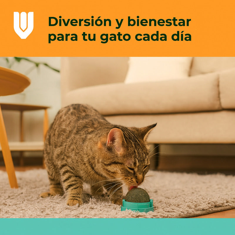 Bola Hierba Gatera Catnip Gatos Bola Snack Catnip Antiestrés