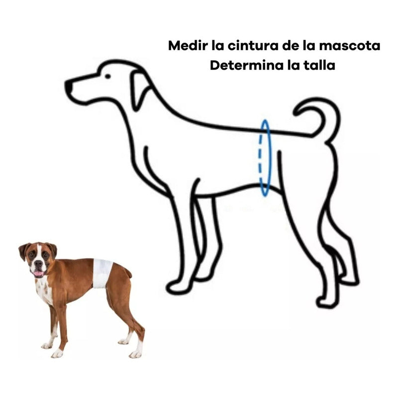 240 Pañales Perro Macho Pañales Para Gatos Panal Perro S