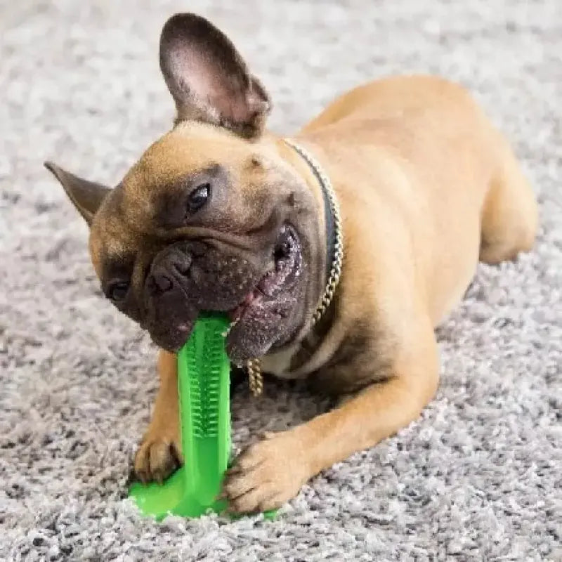 Juguete Mordedor Perros Cachorros Entretenimiento Juegos