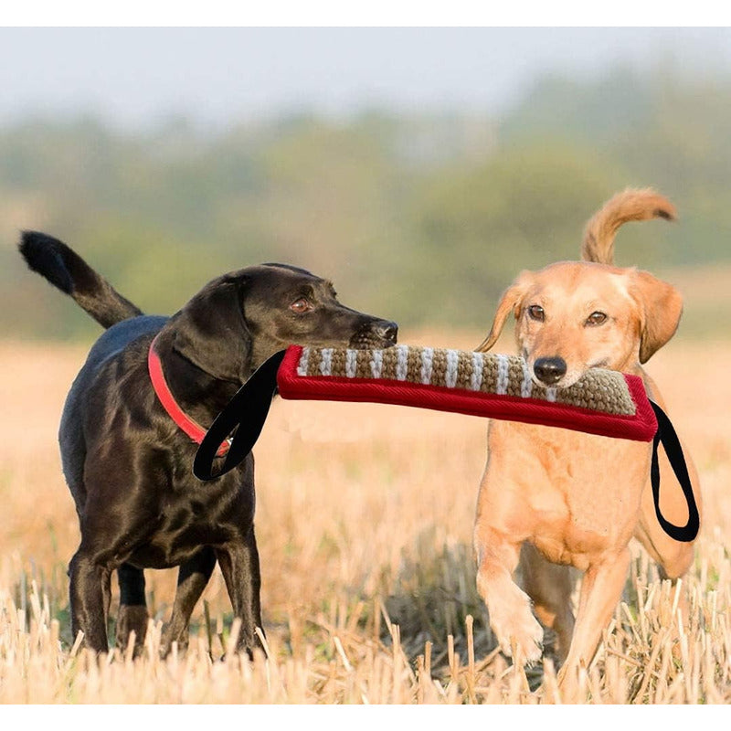 Mordedor Perro Mordedor Yute Mordedor Adiestramiento Perro