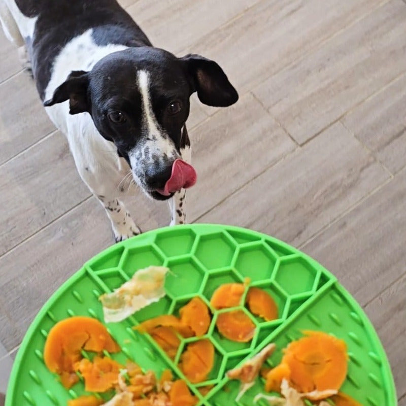 Lickimat Almohadilla Para Lamer Perro Comedero Antiestrés