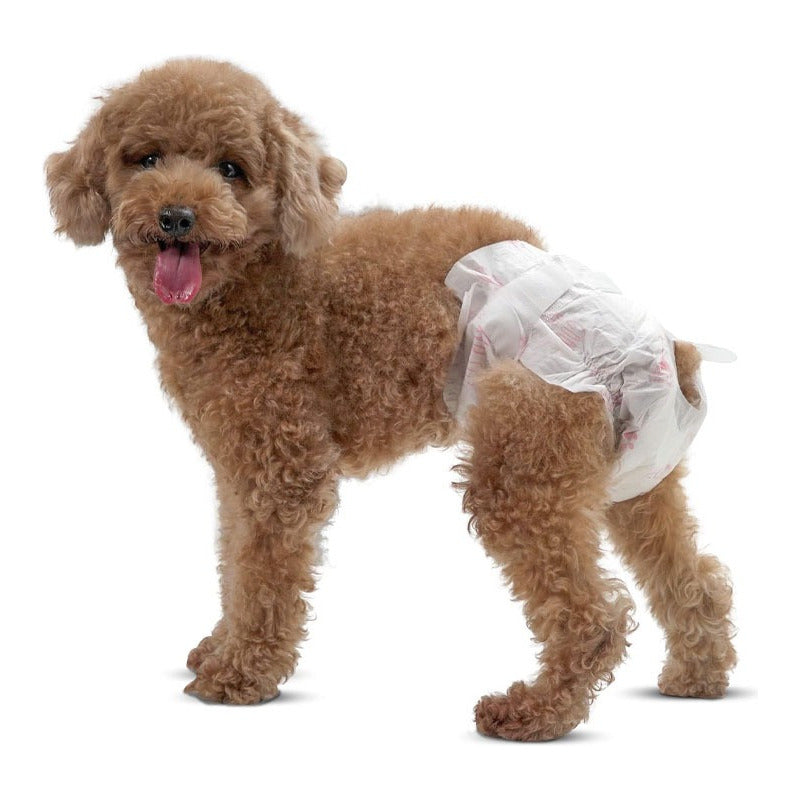 X50 Pañales Para Perros Pañales Para Perro Pañales Gato L