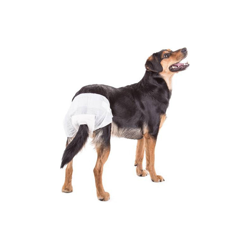 X50 Pañales Para Perros Pañales Para Perro Pañales Gato L