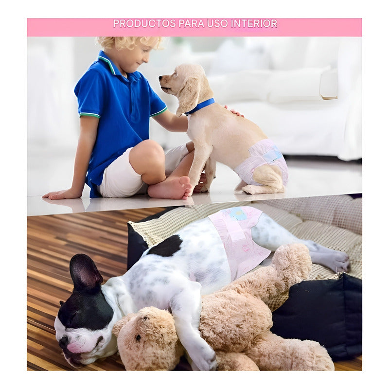X100 Pañales Para Perros Pañales Para Perro Pañales Gato Xs
