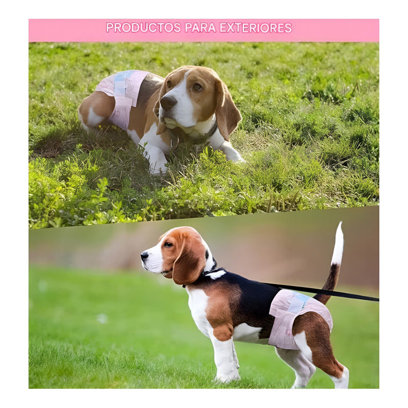 X100 Pañales Para Perros Pañales Para Perro Pañales Gato S