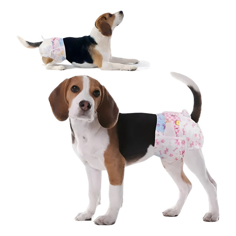 X100 Pañales Para Perros Pañales Para Perro Pañales Gato S