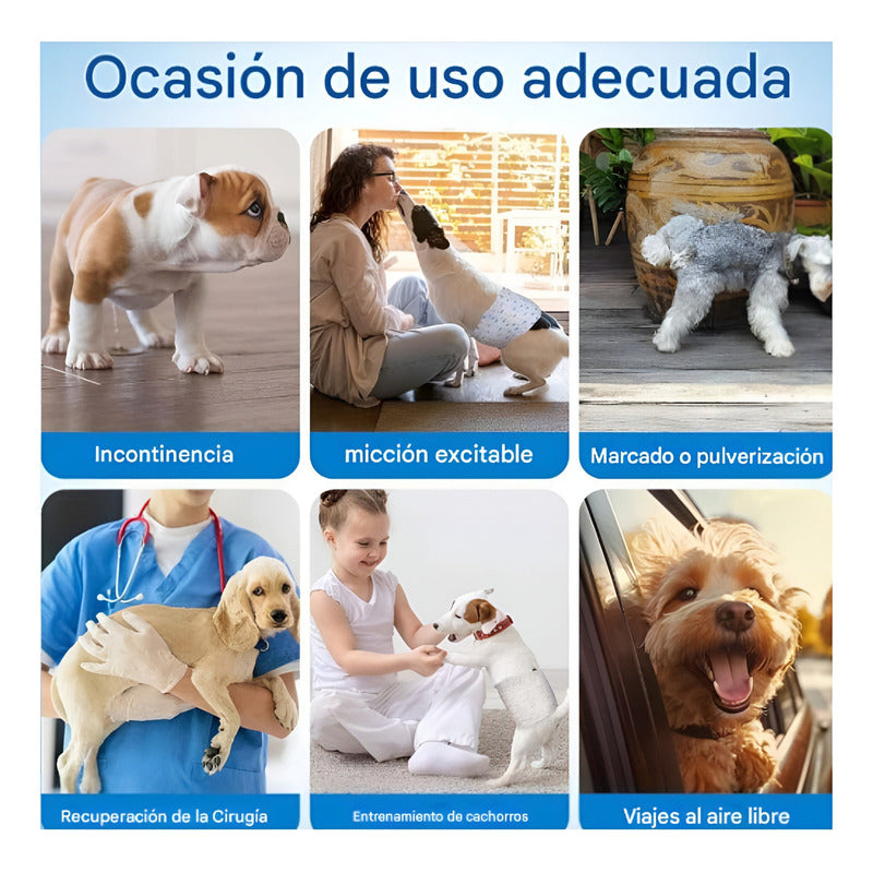60 Pañales Para Perros Pañales Para Perro Pañales Gato S