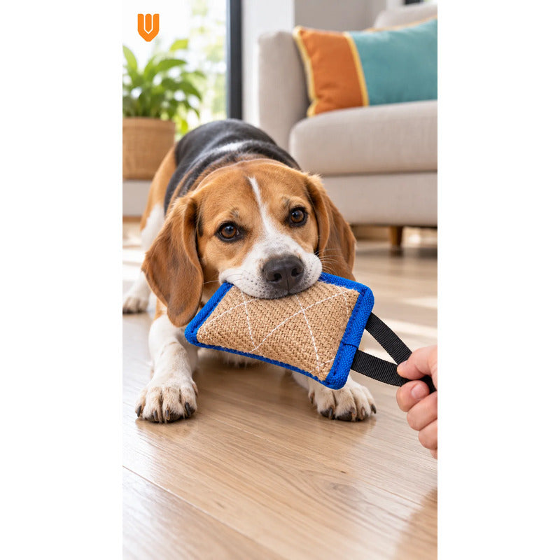 Mordedor Yute Perro Asa Juego Interactivo Adiestramiento Beige Natural Mordedor Canino Yute Asa Negra Cuerpo Compacto Rectangular Juego Interactivo Trama Visible