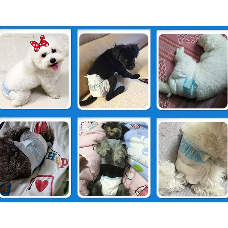 X10 Pañal Perro Panal Gato Pañales Hembra Macho Pañal S