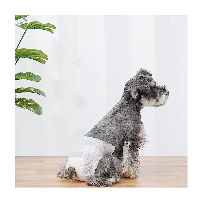 X50 Pañales Para Perros Pañales Para Perro Pañales Gato L
