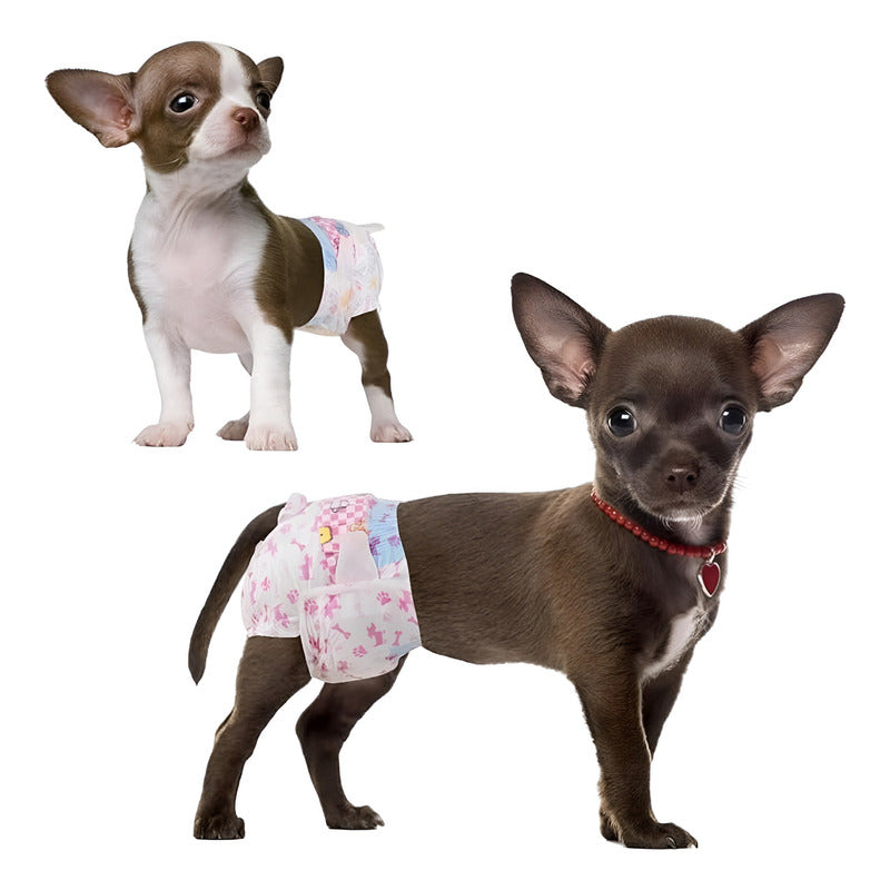X10 Pañales Perros Panal Hembra Macho Pañales Gato Xs