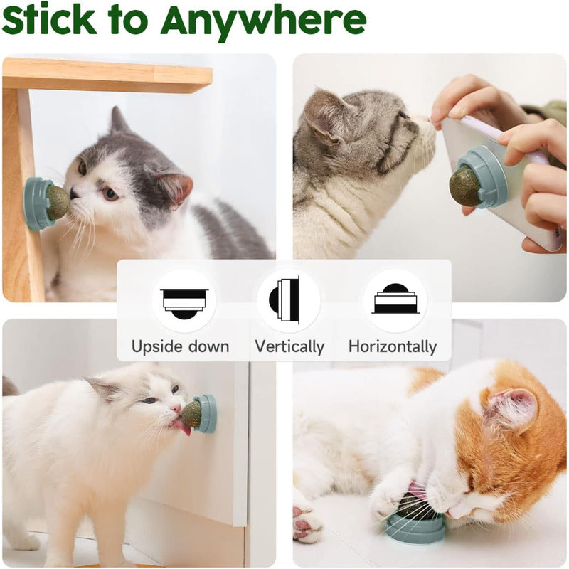 X6 Bola Hierba Gatera Catnip Para Gatos Bola Snack Catnip