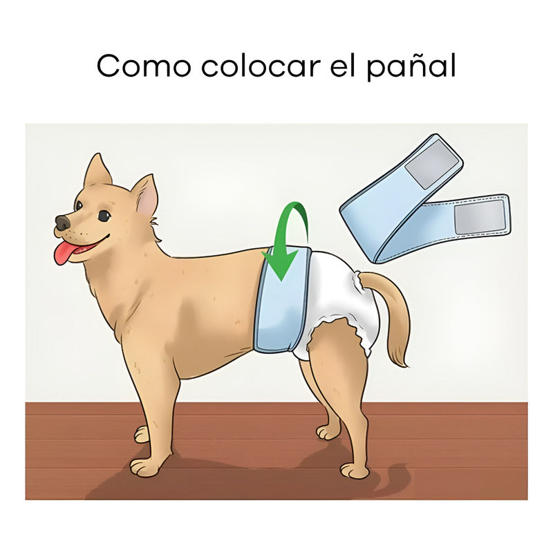 120 Pañales Para Perros Pañales Para Perro Pañales Gato M