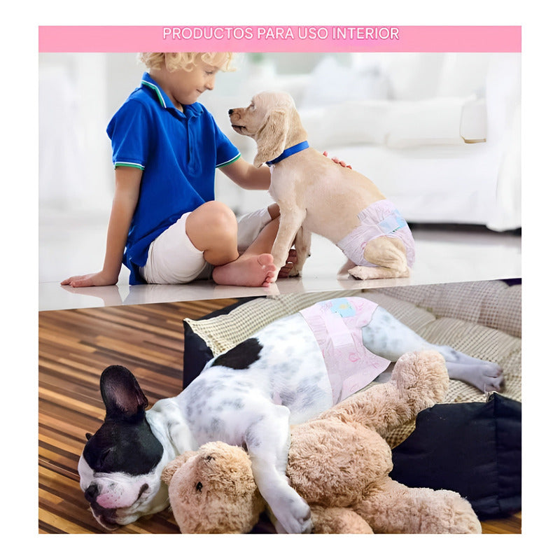 X50 Pañales Para Perros Pañales Para Perro Pañales Gato S