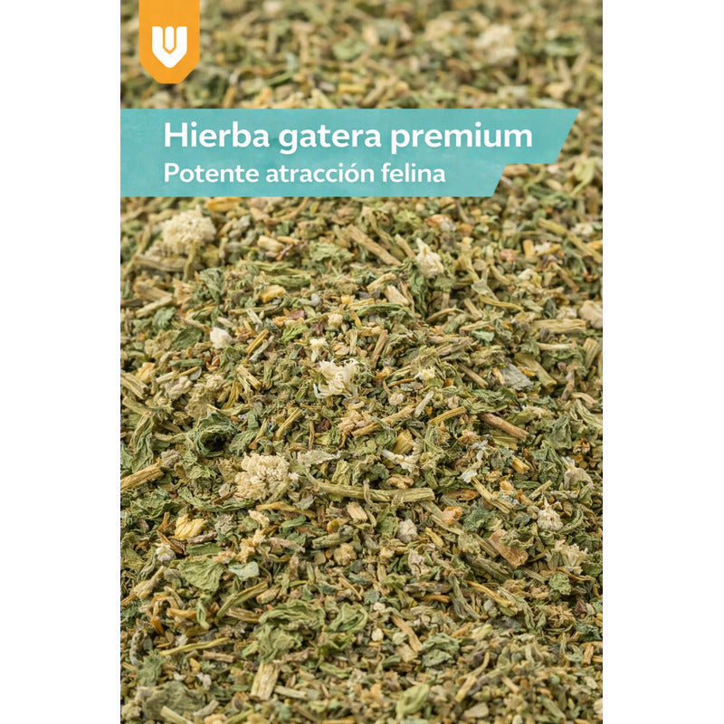 Hierba Gatera Natural Snack Seco Relajacion Gato Mascota 30g