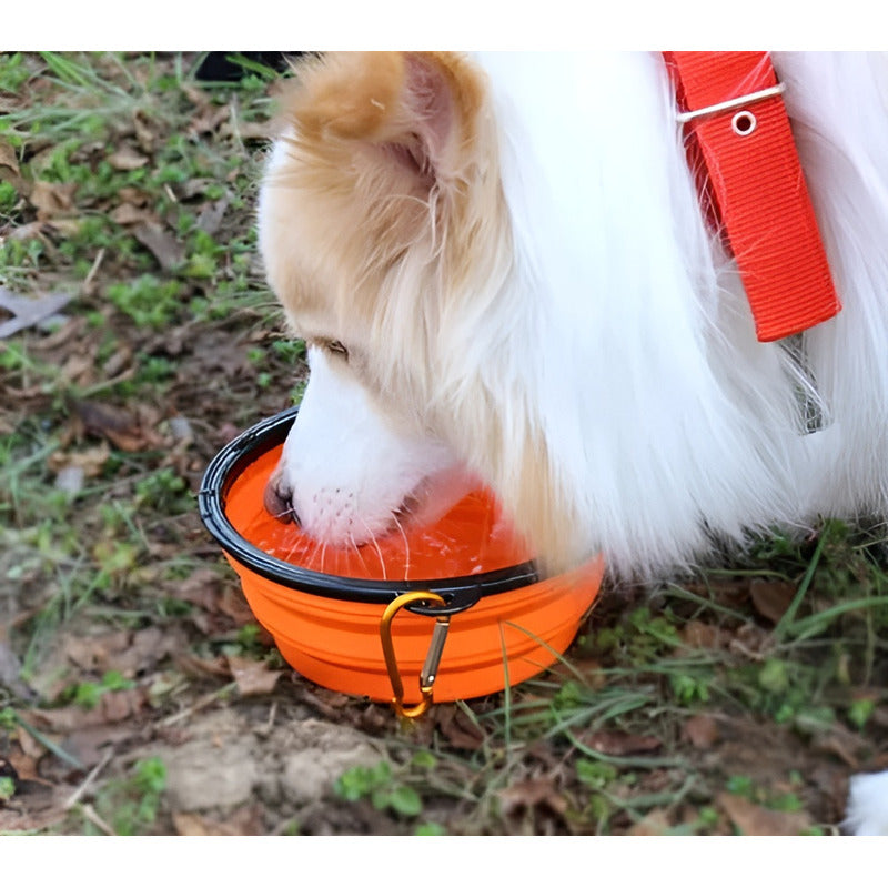 Plato De Goma Plegable Portatil Plato Mascotas Portatil 833