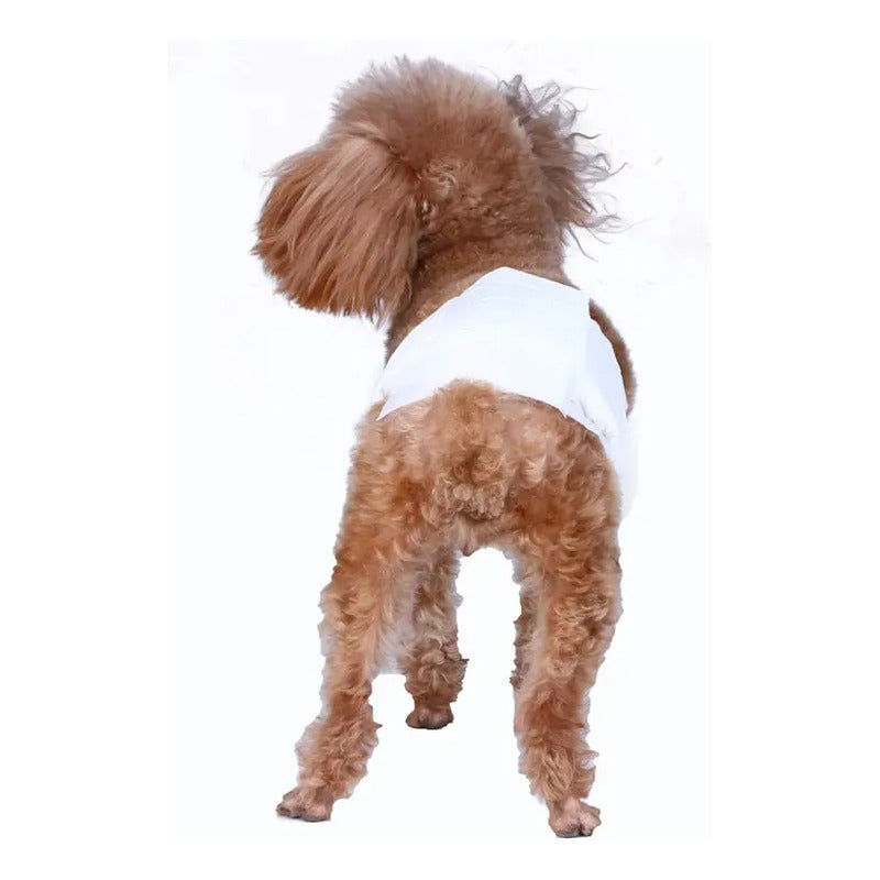 120 Pañales Para Perros Pañales Para Perro Pañales Gato M