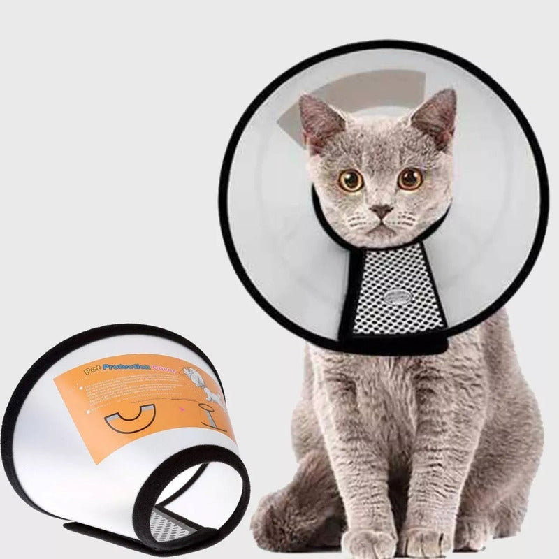 3 Collar Isabelino Gato Collar Perro Collar Isabelino Perr 4