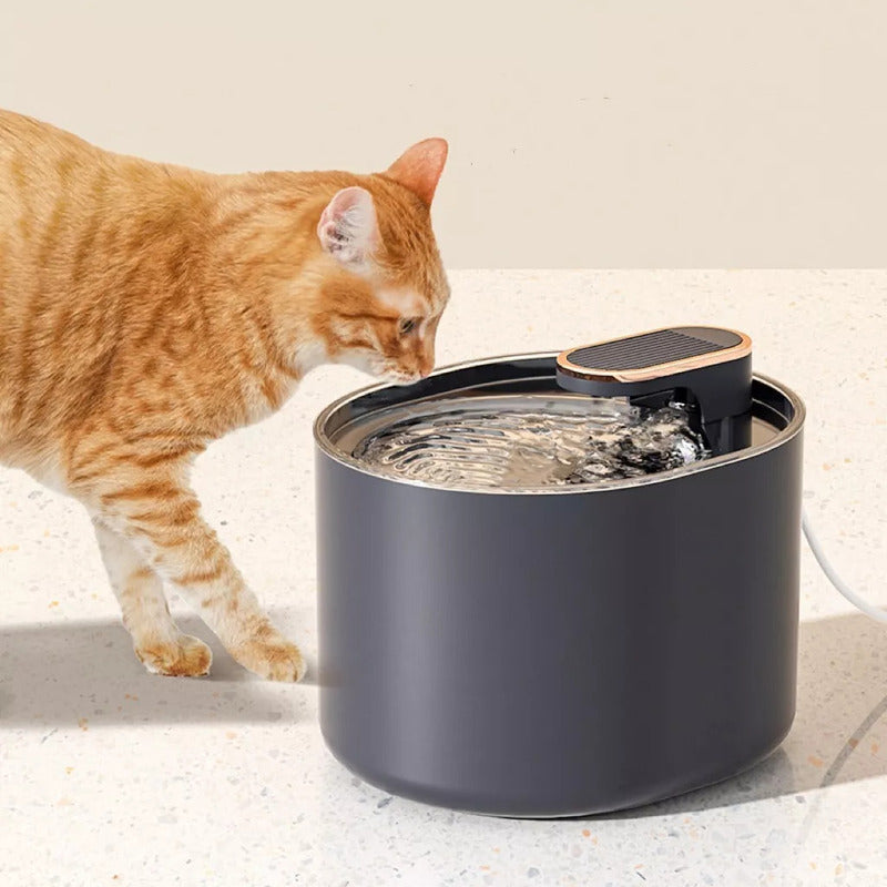 3 Filtro Bebedero Perro Fuente Agua Filtro Fuente Agua Gato