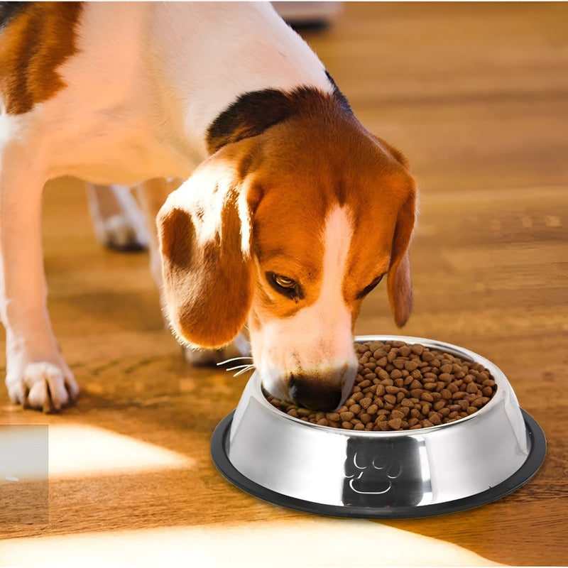 Pack X3 Comedero Perro Plato Perros Mascota 18, 22 Y 26 Cm