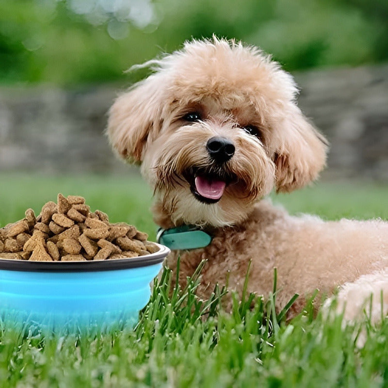 Plato De Goma Plegable Portatil Plato Mascotas Portatil 833