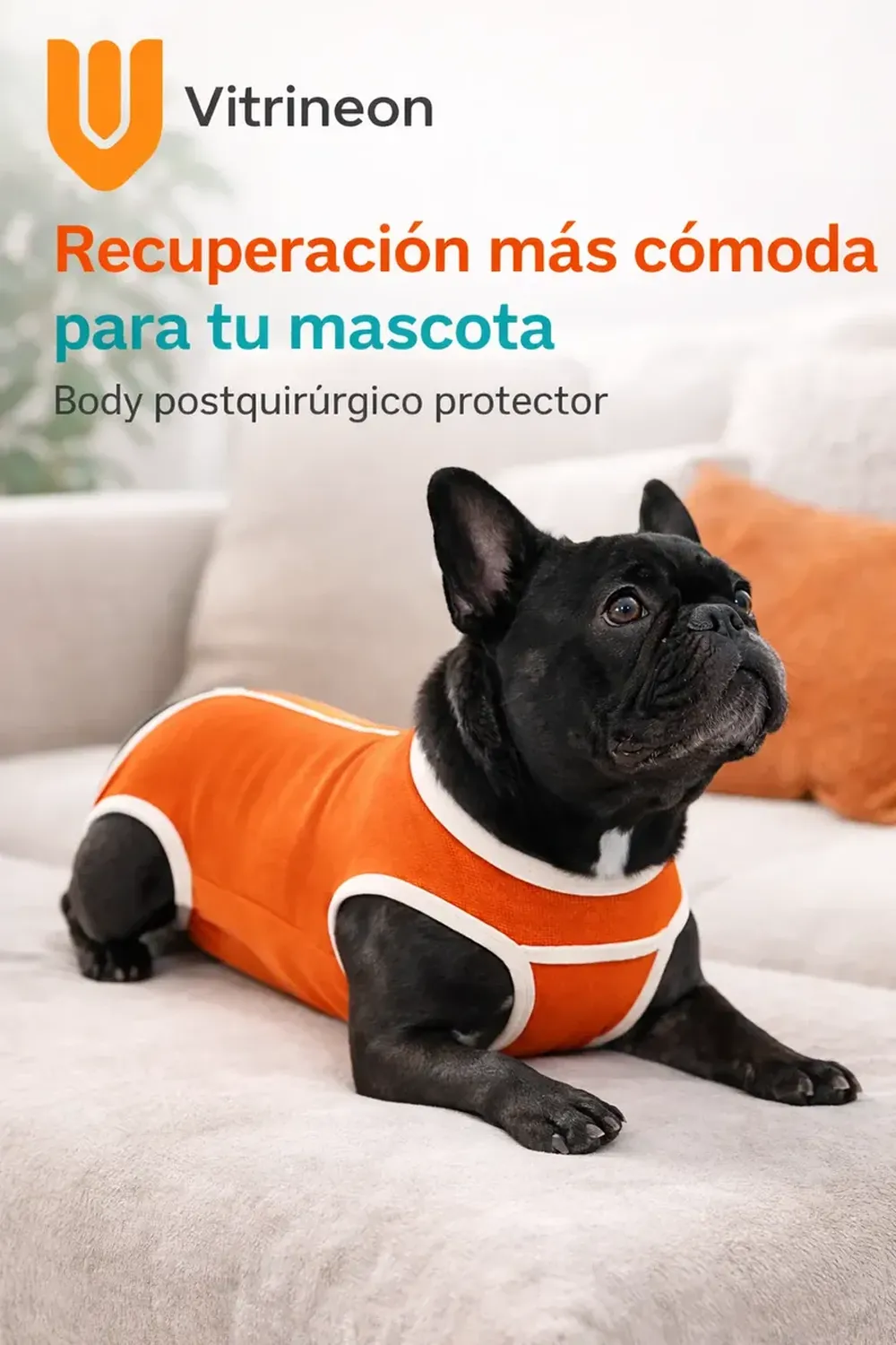 png_1500x1500_71409273
