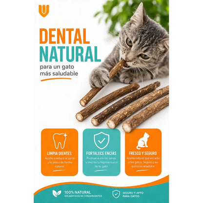X10 Palitos Hierba Gatera Yerba Gatera Juguete Para Gatos Marrón