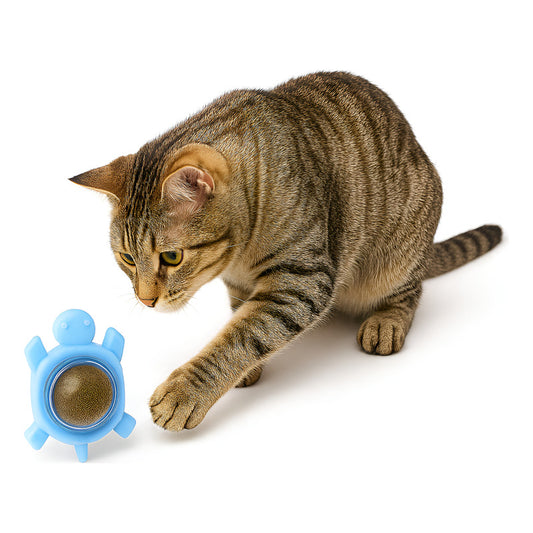 Bola Hierba Gatera Catnip Gatos Bola Snack Catnip Antiestrés Tortuga