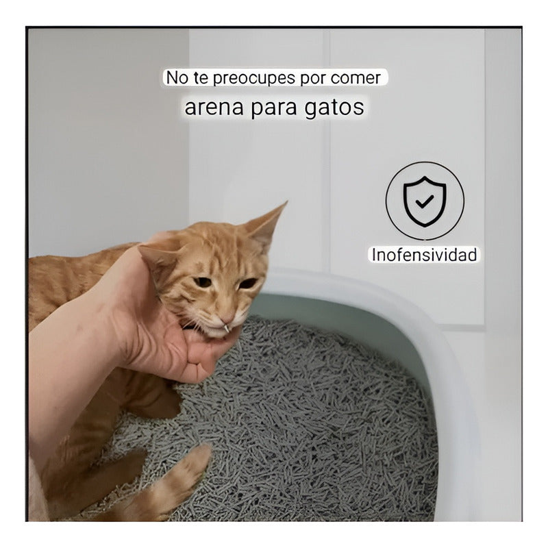 Arenero Para Gato Caja De Arena + Arena Para Gato Tofu 2.5kg