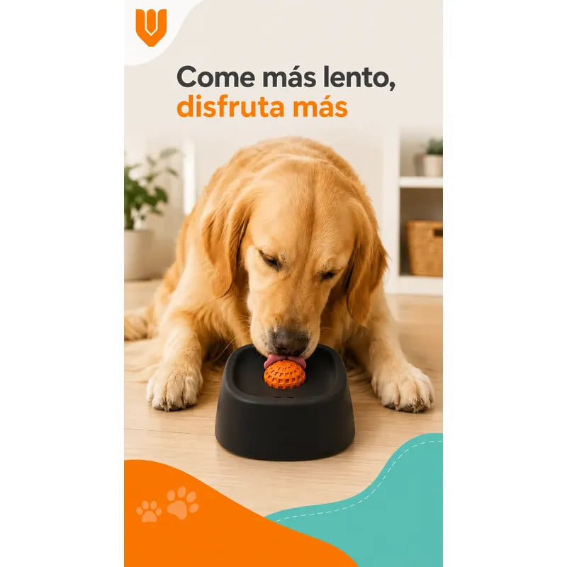 Dispensador Alimento Perros Plato Anti Ansiedad Mascota Negro