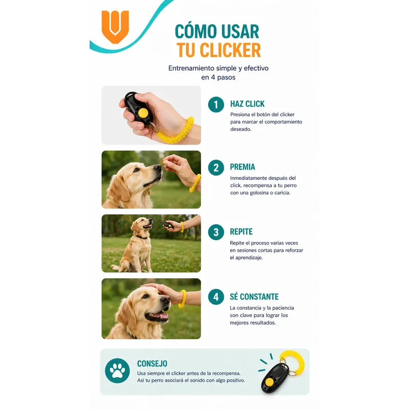 Accesorio Entrenamiento Canino Portatil Plastico Incluye Mul Azul