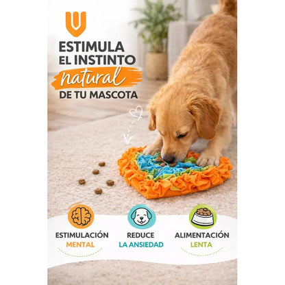 Juego Busqueda Comida Perro Estimulacion Mental Interactiva Multicolor Tonos Pastel Rosa Celeste Amarillo Naranja Verde Juguete Mascota Diseño Corazon Tela Suave Lavable Resistente