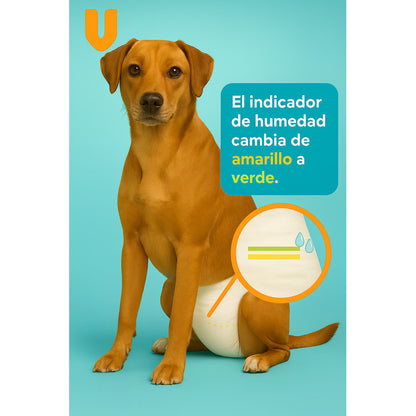 200 Pañales Desechable Perro Gato Incontinencia Pañal Gato L Blanco Hembra L 52 X 32 Cm