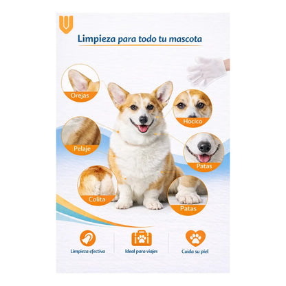 Toallas Desechables Humedas Guante Limpieza Mascota 6 Pieza Toallas Humedas Desechables Guante Limpieza Mascotas Higiene Rapida Suave Humectante Portatil Seis Unidades Cuidado